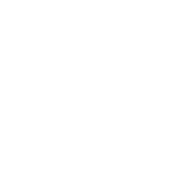 William Holland Logo